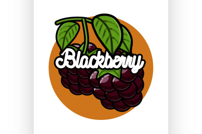 Color vintage fruit emblem