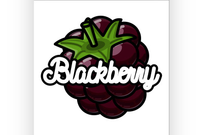 Color vintage fruit emblem