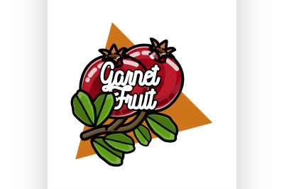 Color vintage fruit emblem
