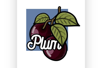 Color vintage fruit emblem