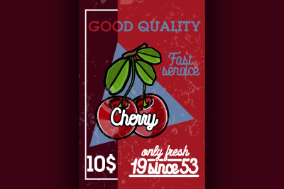 Color vintage fruit banner