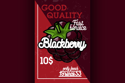 Color vintage fruit banner