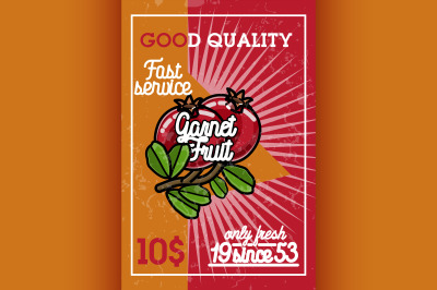 Color vintage fruit banner