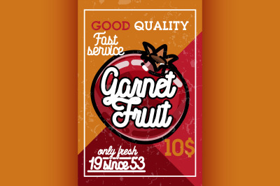 Color vintage fruit banner