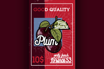 Color vintage fruit banner