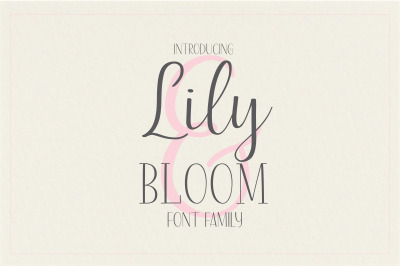 Lily &amp; bloom