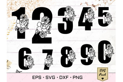 Floral anniversary numbers SVG