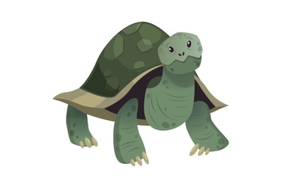 Cartoon cute turtle. Standing smiling happy snorkel tortoise, vector i