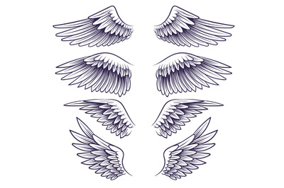 Hand drawn wing. Sketch angel wings with feathers, elements for logo,