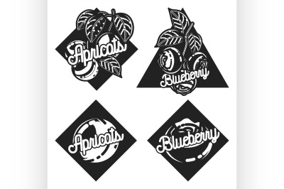 Color vintage fruit emblems