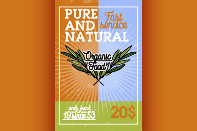 Color vintage organic food banner