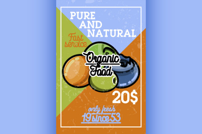 Color vintage organic food banner
