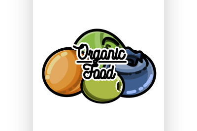 Color vintage organic food emblem