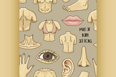 Part of body set icons pattern