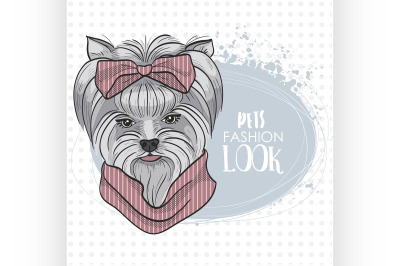 Vector pets fashion look