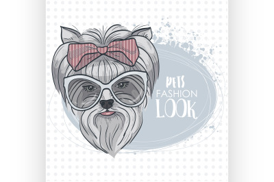 Vector pets fashion look