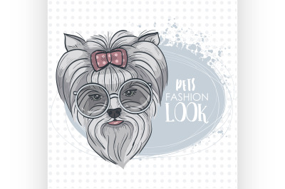 Vector pets fashion look