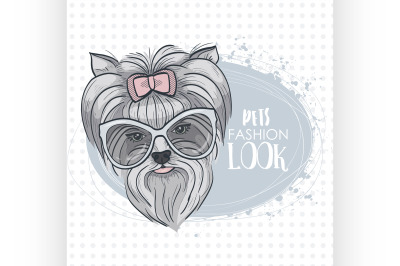 Vector pets fashion look