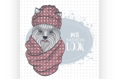 Vector pets fashion look