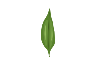 Chili Leaf