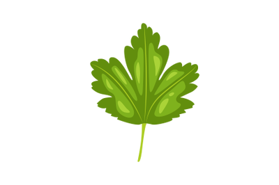 Gooseberry Leaf