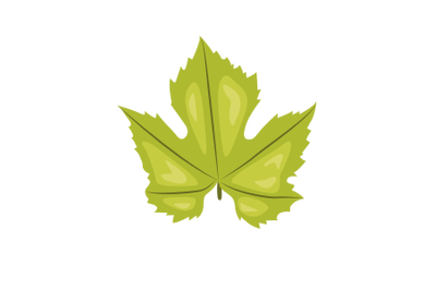 Grape Leaf