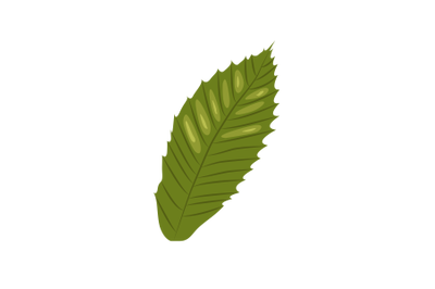 Sweet Chestnut Leaf