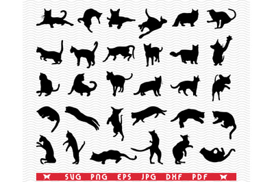 SVG Cats, Black Silhouettes, Digital clipart