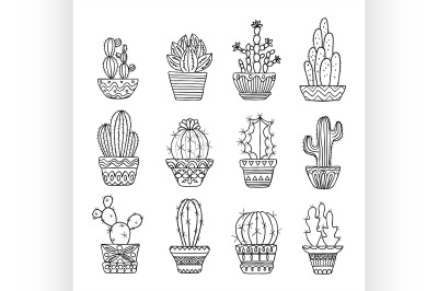 Hand drawn sketch, vector cactus set