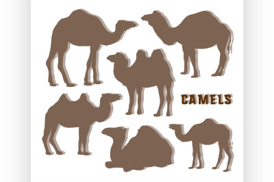 Camel Silhouettes set