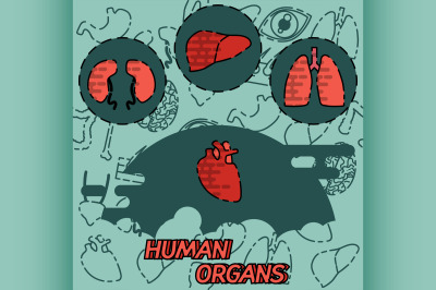 Human organs flat concept icons