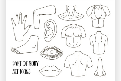 Body parts icons set