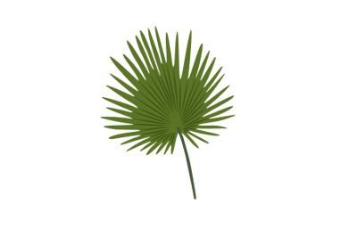 Artificial Fan Palm Leaf