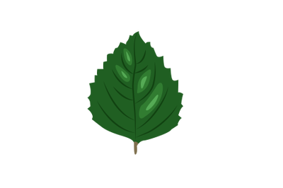 Nilam Leaf