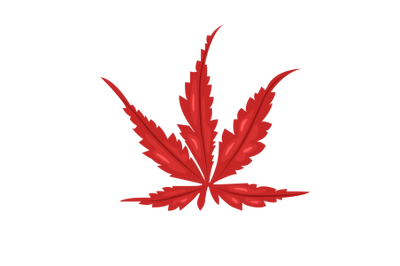 Japanese Maple Leaf