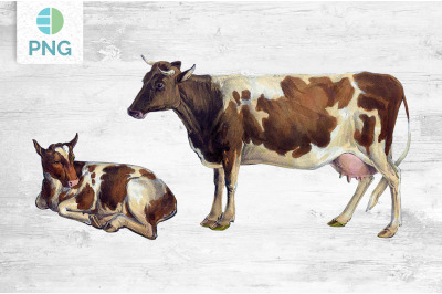 Cow Clipart Alderney