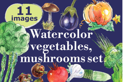 Watercolor vegetables &amp; mushrooms