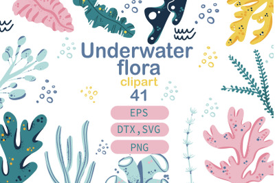 Underwater flora clipart