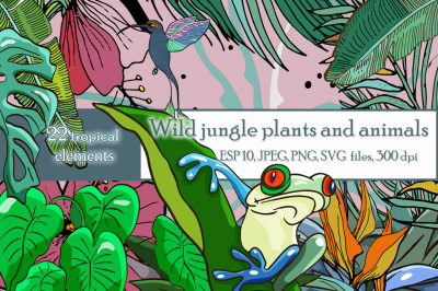 Tropical plants and animals