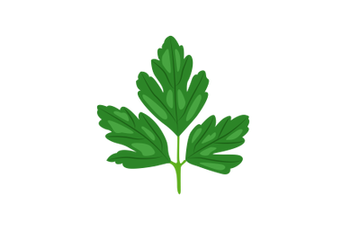 Parsley Leaf