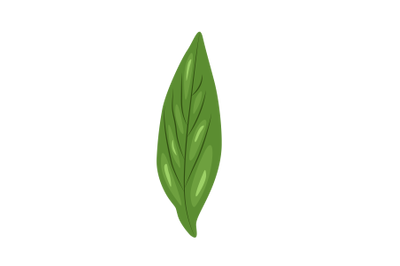 Sage Leaf