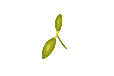 Mistletoe Leaf