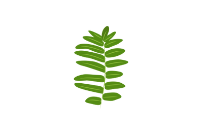 Royal Fern Leaf