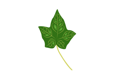 Hera Leaf