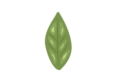 Huckleberry Leaf