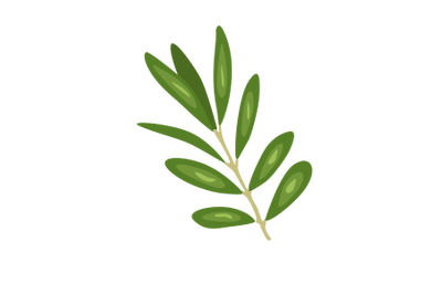 Olive Leaf