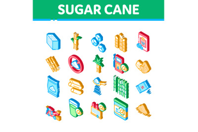 Sugar Cane Agriculture Isometric Icons Set Vector