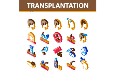 Hair Transplantation Isometric Icons Set Vector