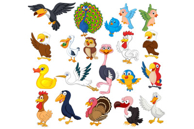 Cartoon Birds Clipart Set Graphic