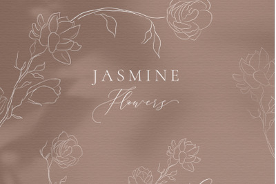 Line drawing White Jasmine Flower illustrations. Wreaths, frames. Leaf